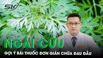Gợi ý bài thuốc đơn giản với lá ngải cứu để chữa đau đầu | SKĐS