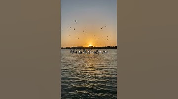 واتس اب قران كريم القارئ ياسر الدوسري من سورة (المؤمنون)