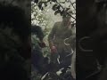 Starkes deutsches Artilleriefeuer Ardennenoffensive 1944