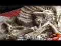 《地理中国》 山水奇观·板厂峪村的发现：深山幽洞 惊现神秘动物遗骨 20181029 | CCTV科教