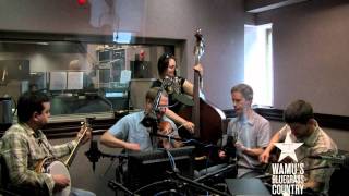 Foghorn Stringband - Gentleman From Virginia [Live at WAMU's Bluegrass Country] chords