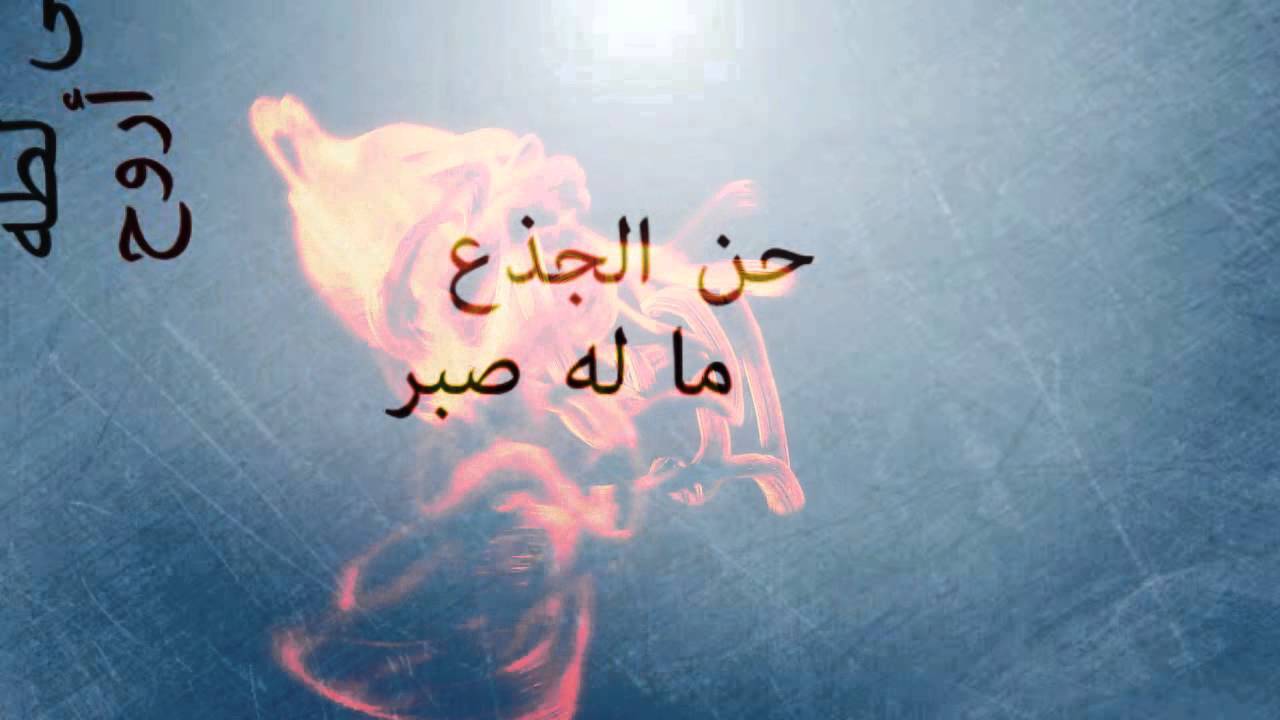 Habib El Rouh حبيب الروح