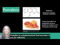 Plant Secondary Metabolites: Phenolics