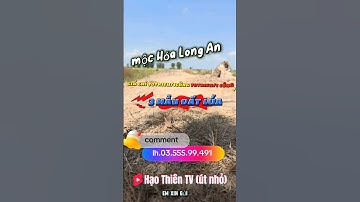 Mọi người ủng hộ công việc của em với nha. chỉ 70trieu/1 công đất lúa tại mộc Hóa Long An, Dt 3 mẫu