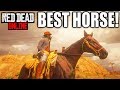 Red Dead Online Tips - HOW TO GET THE BEST & FASTEST HORSE ...