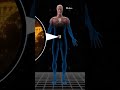 Y chromosome is extremely destroy explain by Gaurav Thakur