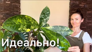 :      .   