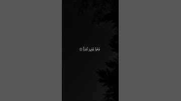 ﴿كَلَّا بَلۡ تُحِبُّونَ ٱلۡعَاجِلَةَ ۝٢٠﴾ | القارئ محمد صديق المنشاوي #قرآن #اكسبلور.