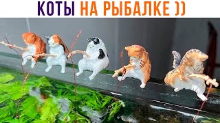 КОТЫ НА РЫБАЛКЕ (в аквариуме) ))) | Приколы с котами | Мемозг 1312