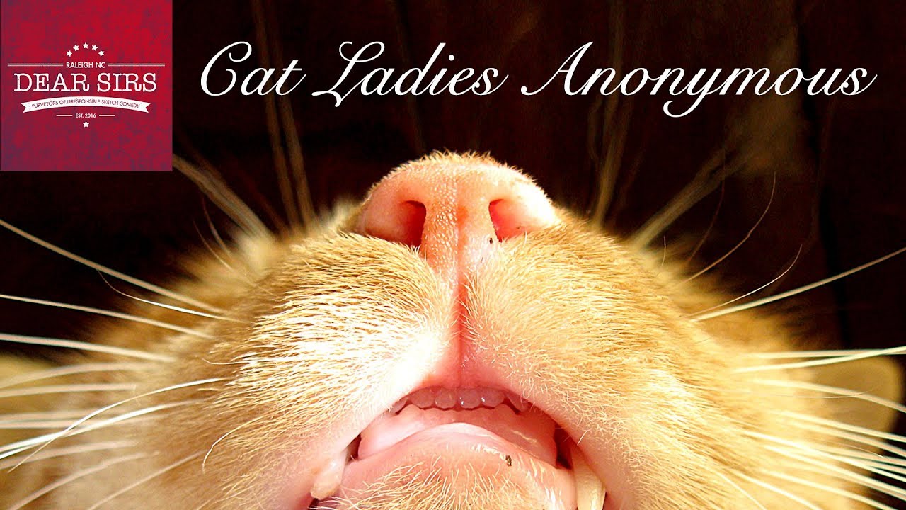 Cat Ladies Anonymous | DEAR SIRS COMEDY S2E3
