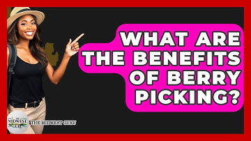 What Are The Benefits Of Berry Picking? - The Midwest Guru