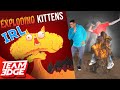 Exploding Kittens in Real Life!!