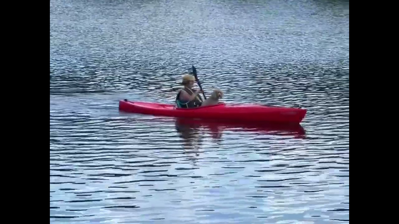Natseq auf dem Aasee Ibbenbüren