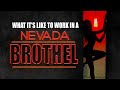 What It's Like to Work in a Nevada Brothel - YouTube