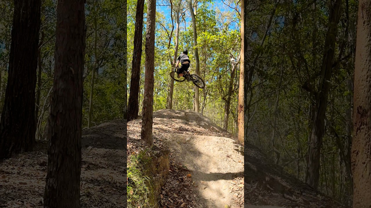 MT. COTTON RAW CLIPS 