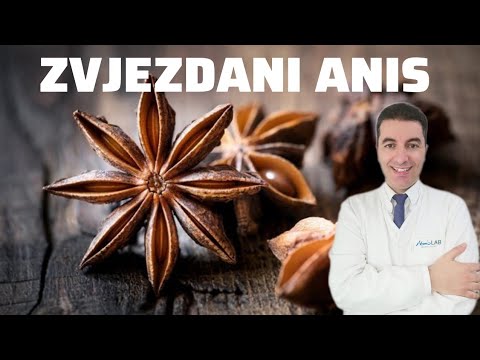 Бейне: Жұлдызды анистің қолданылуы - жұлдызды анис өсімдіктерін өсіру туралы біліңіз