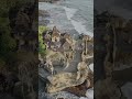 Keajaiban Arsitektur di Bali: 5 Rahasia Desain Unik yang Mengejutkan