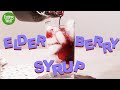 Immune Boosting Elderberry Syrup Recipes | Fighting Off That Cold | EatingWell