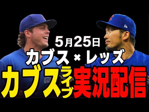 カブス  鈴木誠也 vsレッズ 2022年 実使用球 カブス 鈴木誠也 vsレッズ 出塁打席 2022年 実使用球