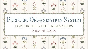 PORTFOLIO ORGANIZATION SYSTEM FOR SURFACE PATTERN DESIGNERS Presentation
