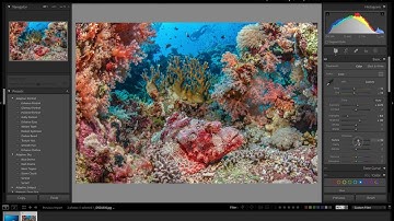 How to edit underwater photos in Lightroom.