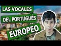 Nadie te enseñará esto: Las Vocales del Portugués Europeo | /a ɐ ɐ̃ ɛ e ẽ i ĩ ɨ ɔ o õ u ũ/