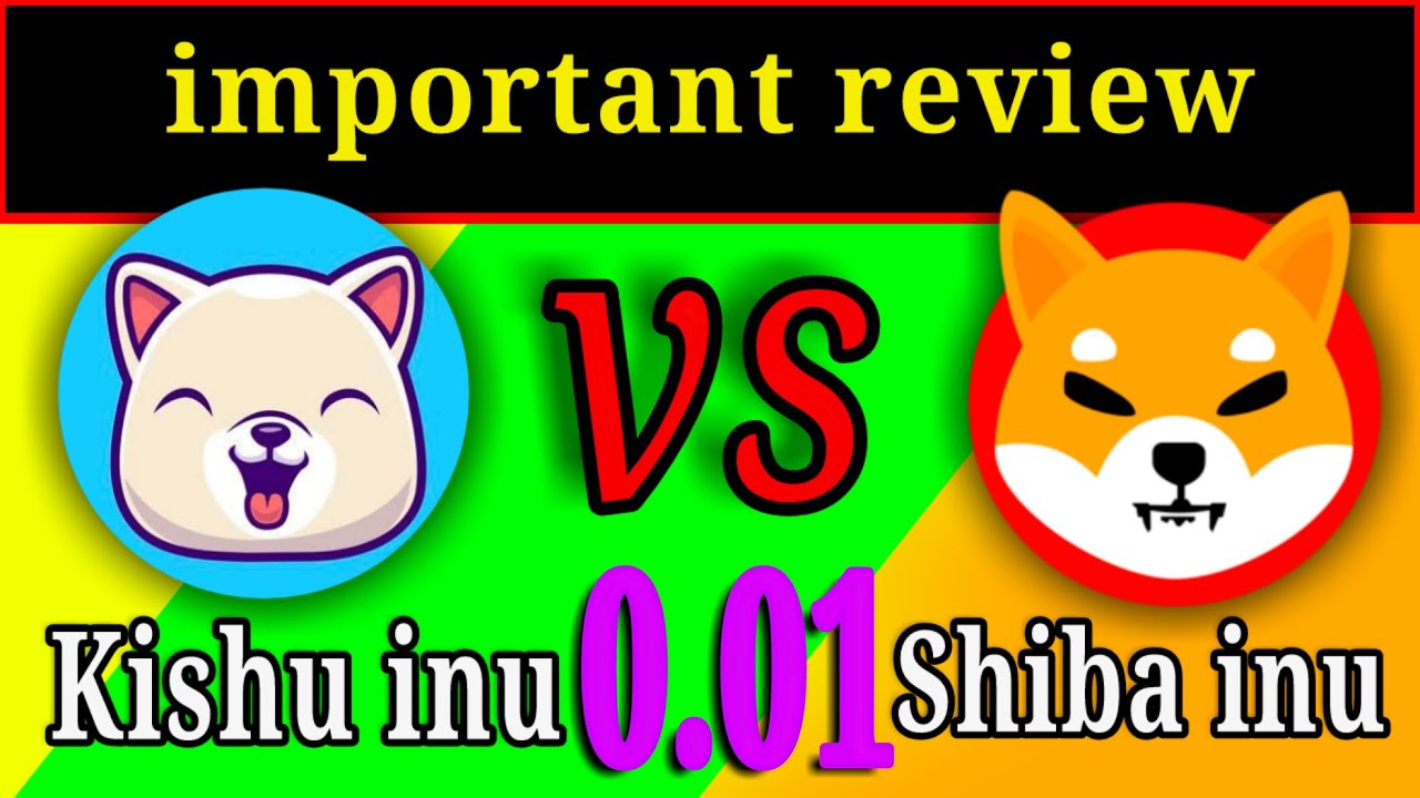 SHIBA INU COIN vs KISHU INU | Shiba inu news | Kishu inu update - YouTube