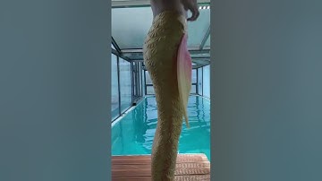 The best silicone mermaid tail in the world