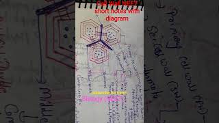 NEET biology cell Wall short notes#biology #neetbiology #viralshorts #blackpink#neetstudywithme