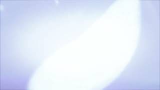 light leaks element
