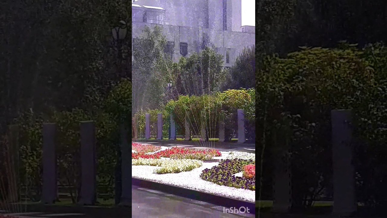 Харьков.Сад Шевченко.Летняя клумба.10.06.2023. 