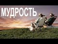 Философия Мудрости [The School of Life]