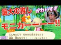 【あつ森】マイル旅行券１０００枚で推しに会う旅【生放送】
