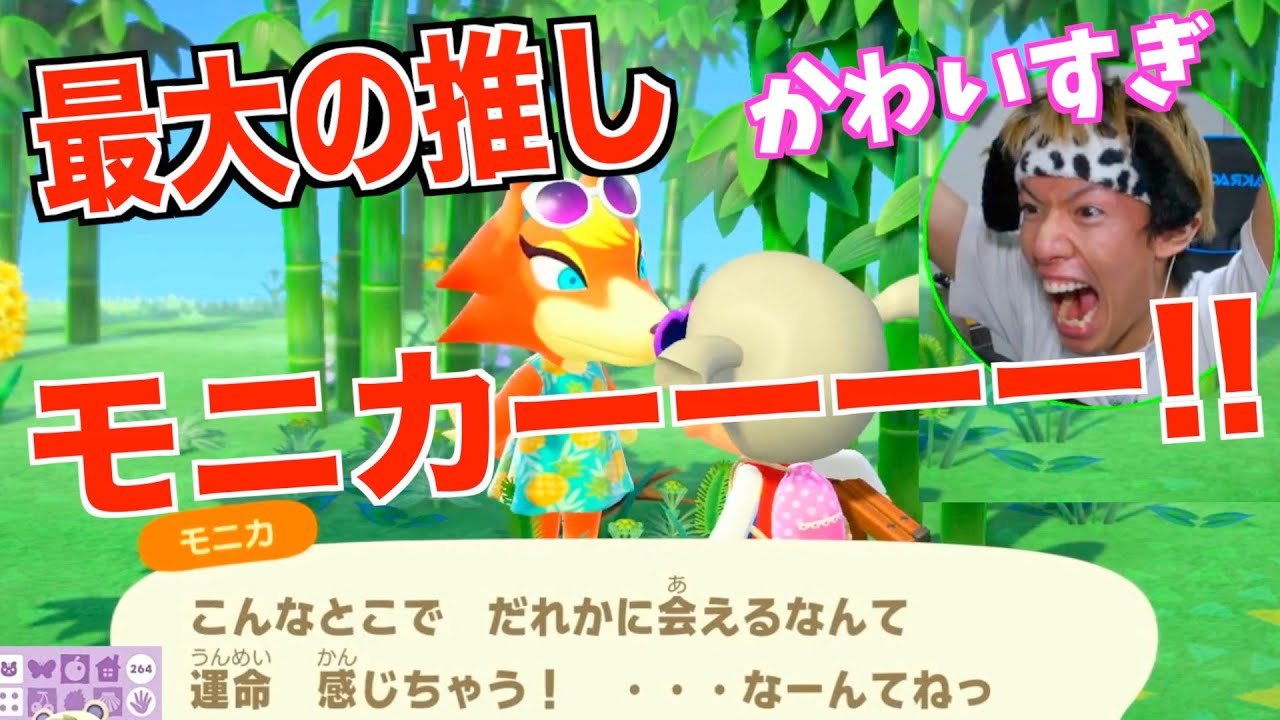 【あつ森】マイル旅行券１０００枚で推しに会う旅【生放送】