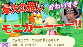 【あつ森】マイル旅行券１０００枚で推しに会う旅【生放送】