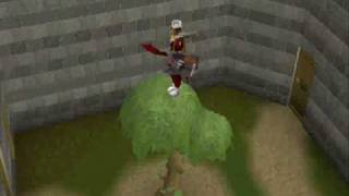 All SkillCapes + glitch