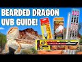 Bearded dragon lighting setup how to setup bearded dragon lights