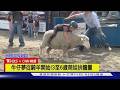 【CNN精選】萌娃騎羊追夢！美國「小小牛仔賽」夢想從摔下開始｜TVBS新聞