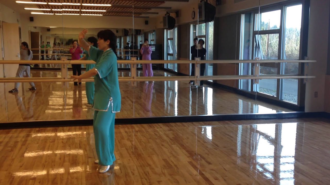 Ning Wang Chen's Taichi 18 Forms (from back )