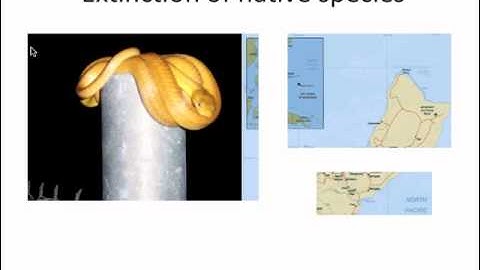 Data Mining to Reveal Biological Invaders