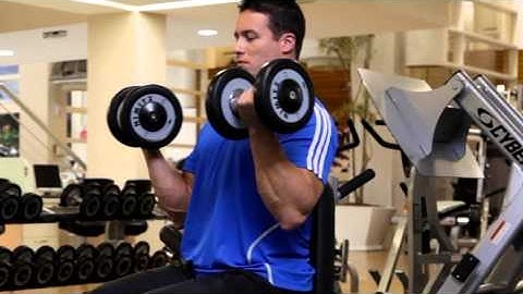 Rosca Direta c/ Halteres (Sentado) - Exercício para Bíceps