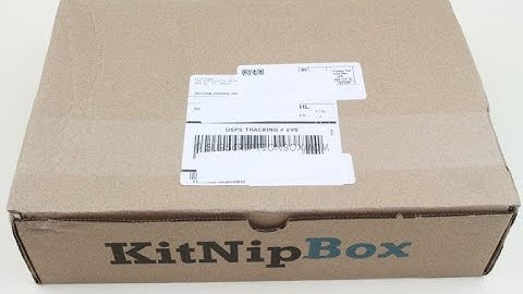 KitNipBox August 2019 Cat Subscription Box Unboxing + Coupon