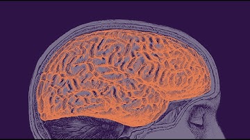 INTO THE LIGHT Meaningful Recovery From Psychosis
