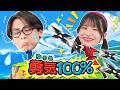 【キッズソング】勇気100％ 🌟 みんなで一緒に歌って踊ろう！【歌ってみた・手遊び・子供向け】