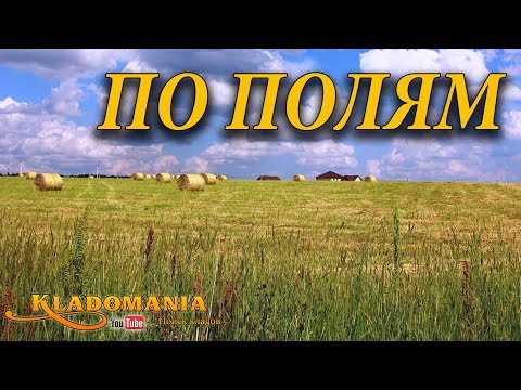 ПОИСК МОНЕТ НА ПОЛЯХ 