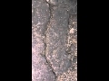 #VIDEO  TEMBLOR 8 DE MAYO "ASFALTO SE ABRE Y CIERRA"