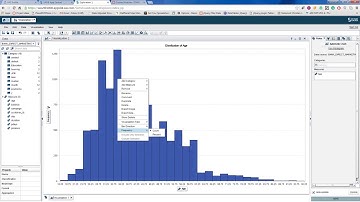 SAS Visual Analytics (1)