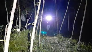 These two YouTubers ran in disarray and crashed into a tree while being chased by Wewe Gombel.