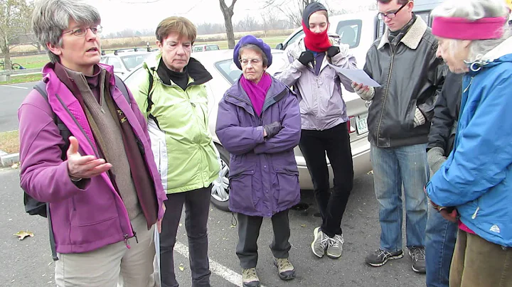 Laurie Sanders' Northampton Meadows History