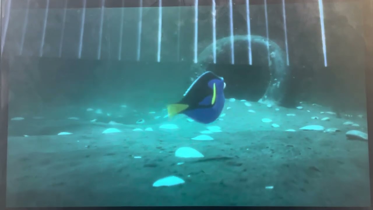 Finding Dory - Dory Follows Shells to Her Parents